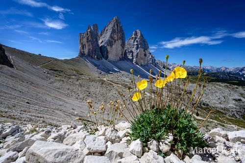  | NIKON Z 6 @ 14mm | 1/60 s,  &fnof;/20, ISO 100