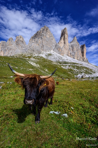  | NIKON Z 6 @ 17mm | 1/50 s,  &fnof;/20, ISO 140