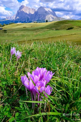  | NIKON Z 6 @ 27mm | 1/50 s,  &fnof;/20, ISO 180