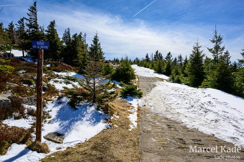  | NIKON Z 6 @ 24mm | 1/250 s,  &fnof;/13, ISO 100