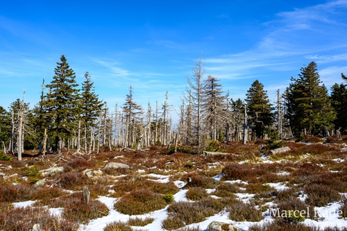  | NIKON Z 6 @ 30mm | 1/160 s,  &fnof;/13, ISO 100