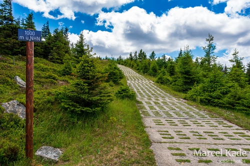  | Sony a6300 @ 16mm | 1/160 s,  &fnof;/8, ISO 100