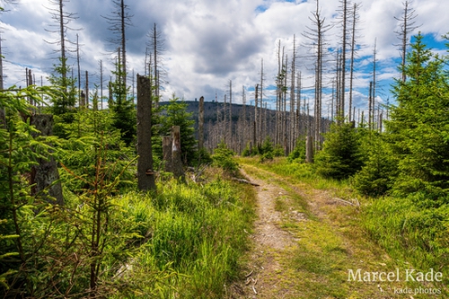  | Sony a6300 @ 16mm | 1/320 s,  &fnof;/9, ISO 100