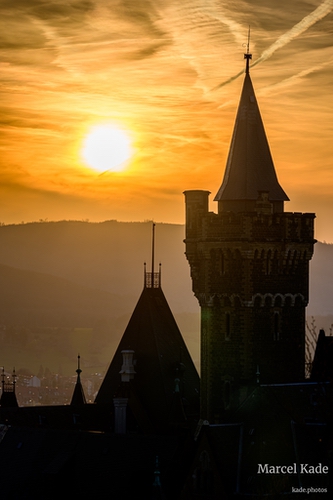  | NIKON Z 6 @ 165mm | 1/5000 s,  &fnof;/8, ISO 100