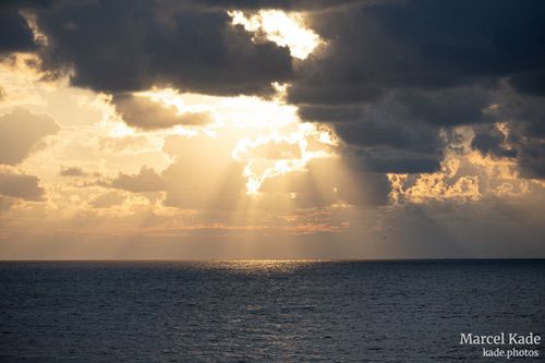  | NIKON Z 6 @ 185mm | 1/400 s,  &fnof;/8, ISO 100