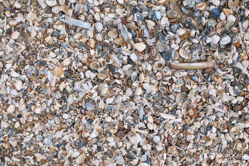  | X100VI @ 23mm | 1/350 s,  &fnof;/5.6, ISO 125