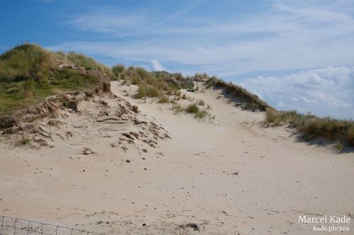  | X100VI @ 23mm | 1/550 s,  &fnof;/8, ISO 125