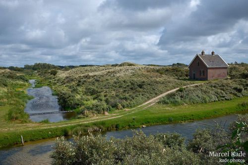  | X100VI @ 23mm | 1/250 s,  &fnof;/8, ISO 125