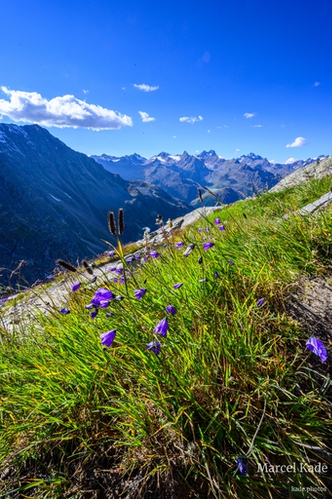  | NIKON Z 6 @ 16mm | 1/50 s,  &fnof;/22, ISO 200