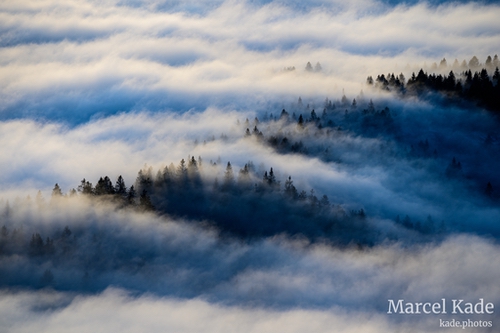  | NIKON Z 6 @ 220mm | 1/125 s,  &fnof;/8, ISO 100