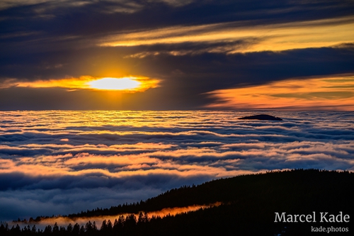  | NIKON Z 6 @ 155mm | 1/500 s,  &fnof;/8, ISO 100