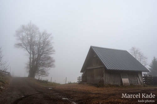  | NIKON Z 6 @ 25mm | 1/125 s,  &fnof;/8, ISO 100