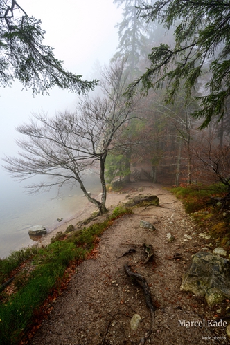  | NIKON Z 6 @ 17mm | 1/50 s,  &fnof;/8, ISO 100