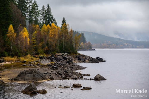  | NIKON Z 6 @ 112mm | 1/80 s,  &fnof;/5.6, ISO 100