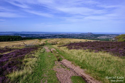  | NIKON Z 6 @ 21mm | 1/320 s,  &fnof;/8, ISO 100